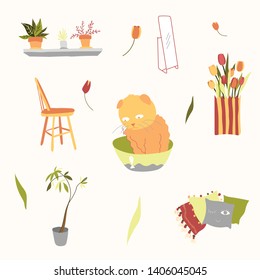 Patterns of furniture, flowers, plants, cat, pillows, chair, mirror, tulips, leaves. Cute colorful cozy family stuff, illustration background. Interiors.