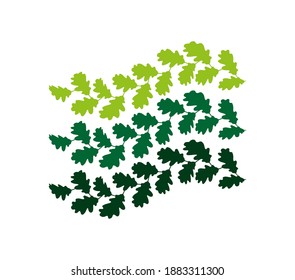 Patterns made of oak leaves in three shades of green. Flag made of leaves