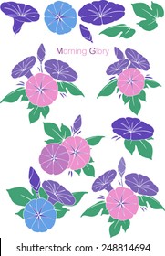 Patterns Morning Glory set