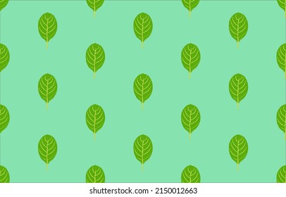 Patrones de la naturaleza Hojas verdes frescas, utilizadas en la industria de impresión en superficies materiales. o ilustración vectorial de fondo de escritorio
