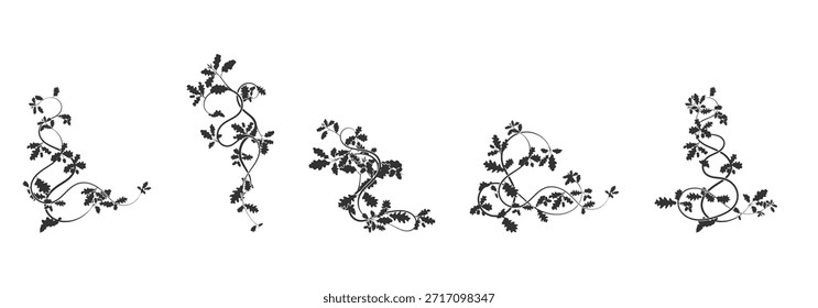 padrões ornamento plantas de tecelagem de carvalho elementos complexos. imagem de stock de vetor
