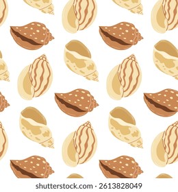 Patterns of seashells in various colors on a white background for decorative purposes