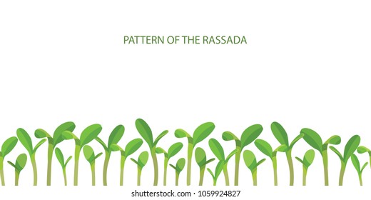 Patterns of seedlings. Crop production. Growing vegetables. Sowing gardening. Growth of plants. Vector.