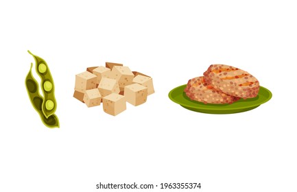 Patty Cake of Soy Meat and Cubes of Tofu Cheese Vector Set