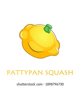 Patty pan Squash isolated on white background, vector