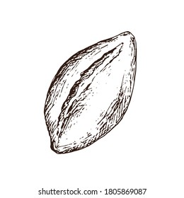 Patty, pie isolated on white background. Vintage style design. Hand Drawn vector illustration.