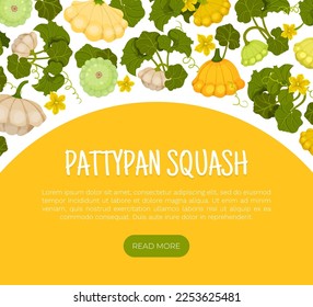 Pattypan Squash Design with Shallow Shape Vegetable with Scalloped Edges Vector Template