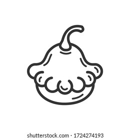 Pattypan Squash line icon. Vector Illustration.