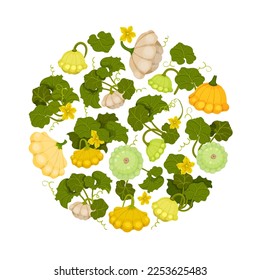 Diseño de composición de redondeo de cucharillas de pattipia con forma superficial vegetable con plantilla de vectores de bordes de vieira
