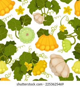 Pattypan Squash Seamless Pattern Design with Scalloped Vegetable Vector Template