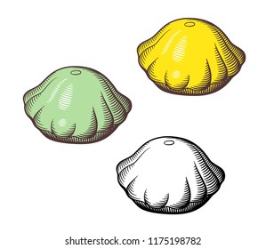 Pattypan squash. Stylized vector illustration, outline and colored version