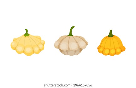 Pattypan Squash or Summer Squash with Scalloped Edges Vector Set