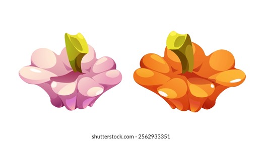 Pattypan Squash. Yellow and white pumpkin fruits. Vector cartoon illustration on white background. Cartoon drawing of pumpkin edible plants. Fruits of autumn season