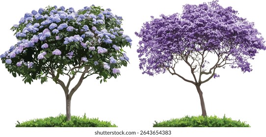 Paulownia fortunei and Jacaranda mimosifolia cutout isolated tree, vector illustration, flowering tree, tropical landscape, garden elements, urban flora, natural scenery design.
