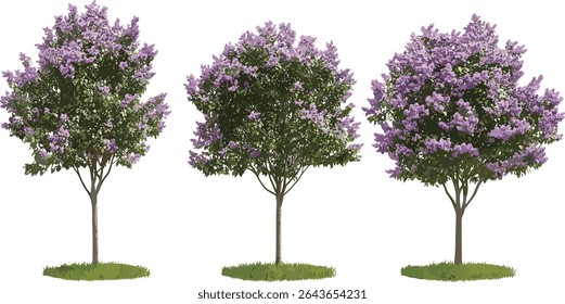 Paulownia tomentosa árvore, árvore princesa, árvore imperatriz, luva de raposa, árvores de rua isoladas recorte, paisagismo urbano, espécies de árvores ornamentais, ilustração vetorial.