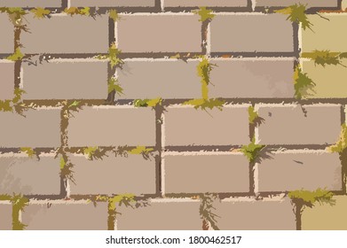 Paving slab walkway with grass