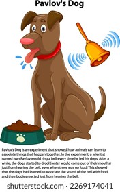 Pavlov's Dog Experiment Vector illustration