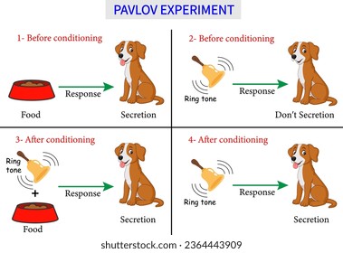 Pavlov's dog experiment . Vector illustration