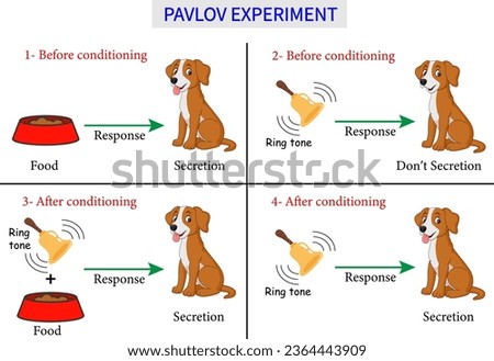 Pavlov's dog experiment . Vector illustration