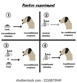 Pavlov's experiment on the dog, the conditional mechanisms of educational psychology. Vector illustration. Simple drawing without colors