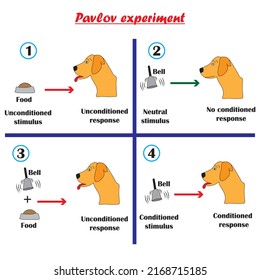 Pavlov's experiment on the dog,conditional mechanisms in educational psychology.Vector illustration.