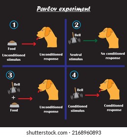 Pavlov's experiment on the dog,conditional mechanisms in educational psychology.Vector illustration.