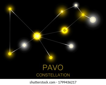 Pavo constellation. Bright yellow stars in the night sky. A cluster of stars in deep space, the universe. Vector illustration