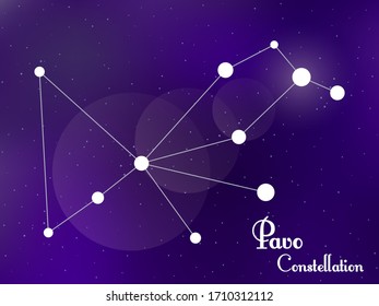 Pavo constellation. Starry night sky. Cluster of stars, galaxy. Deep space. Vector illustration