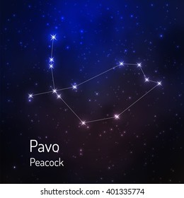 Pavo (peacock) constellation in the night starry sky. Vector illustration