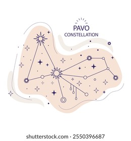 Pavo ou constelação de pavões de estrelas do hemisfério norte sobre um fundo branco. Projeto místico boho esotérico para design de tecido, tarô, astrologia, papel de embrulho. Ilustração vetorial.