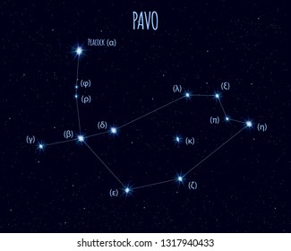 Pavo (The Peacock) constellation, vector illustration with the names of basic stars against the starry sky