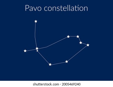 Pavo zodiac constellation sign with stars on blue background of cosmic sky. Vector illustration