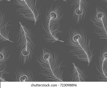 Pavonine Feather peacock, peafowl bird seamless pattern. Monochrome linear white pen gray texture in boho style for strict interior wallpaper textile fabric design. Beauty cute hand drawn lovely print