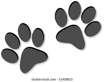 Paw