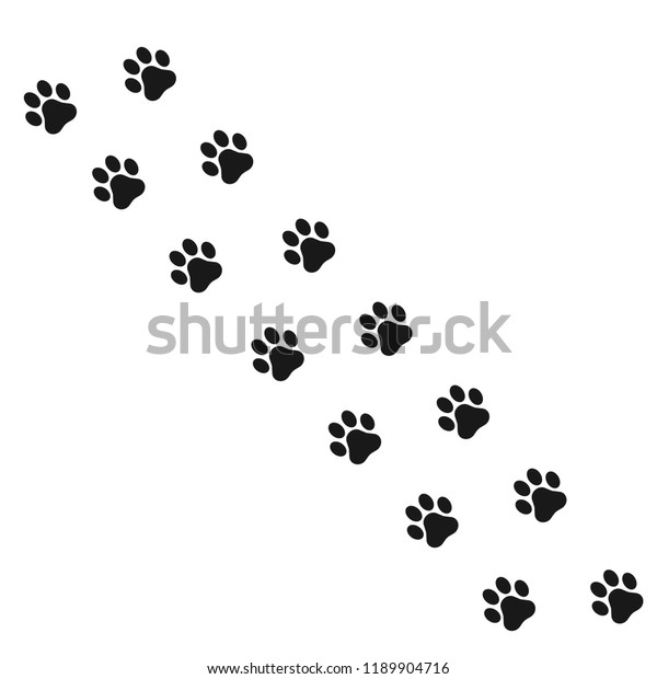 Paw Animal Canine Footprints Traces Dog Stock Vector (Royalty Free ...