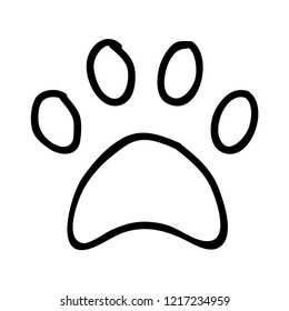 paw   animal   foot 