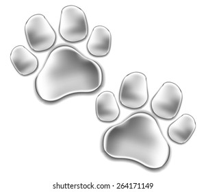 paw of a cat. traces of a kitten