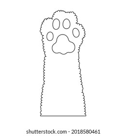 Paw cat vector outline icon. Vector illustration foot on white background. Isolated outline illustration icon of paw cat.