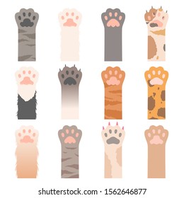 Paw cats. Cute animals hands wild cats claws vector cartoon characters