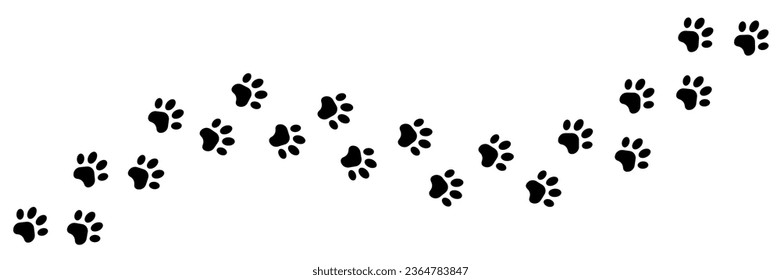 Paw foot trail print of cat. Dog, pawprint, cat paw print on white background.