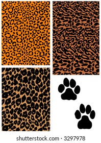 paw jaguar leopard paw jaguar tiger panther run leopard wildlife nature texture wild abstract cat expedition earth africa leather animals wilderness scenery fur fauna hair carnivore disguise art skin