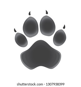 
Paw on white background