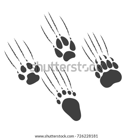 Paw of a predator scratches a background.