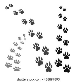 paw print