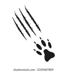 Paw print with claws of dog or wolf with traces of scratches. Black silhouette. Vector isolated Claw marks, cuts, wounds. Paw of wild animal, coyote, fox, tiger, lion, cat, puma leopard cheetah jaguar