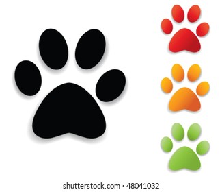  paw print collection