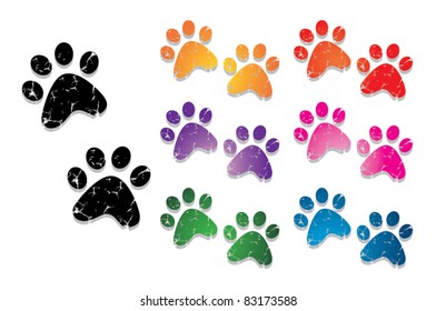 paw print collection