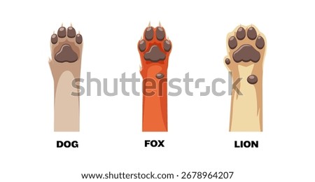 Paw print comparison of dog, fox, and lion in cartoon style