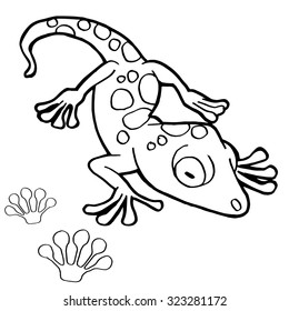 paw print with Gecko Coloring Pages vector
