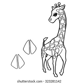 paw print giraffe coloring page vector stock vector royalty free 323281142